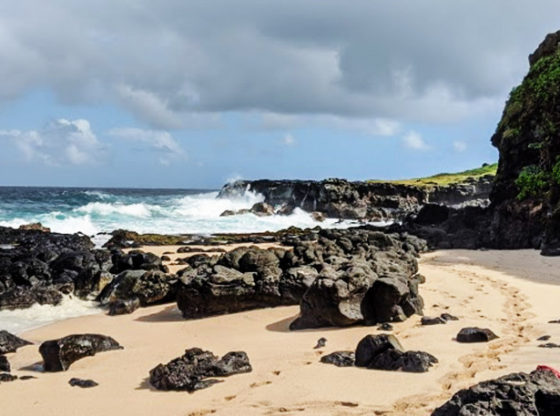 Eco Tourism In Mauritius.