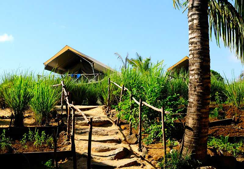 Outpost Camp in Farm land with green grass